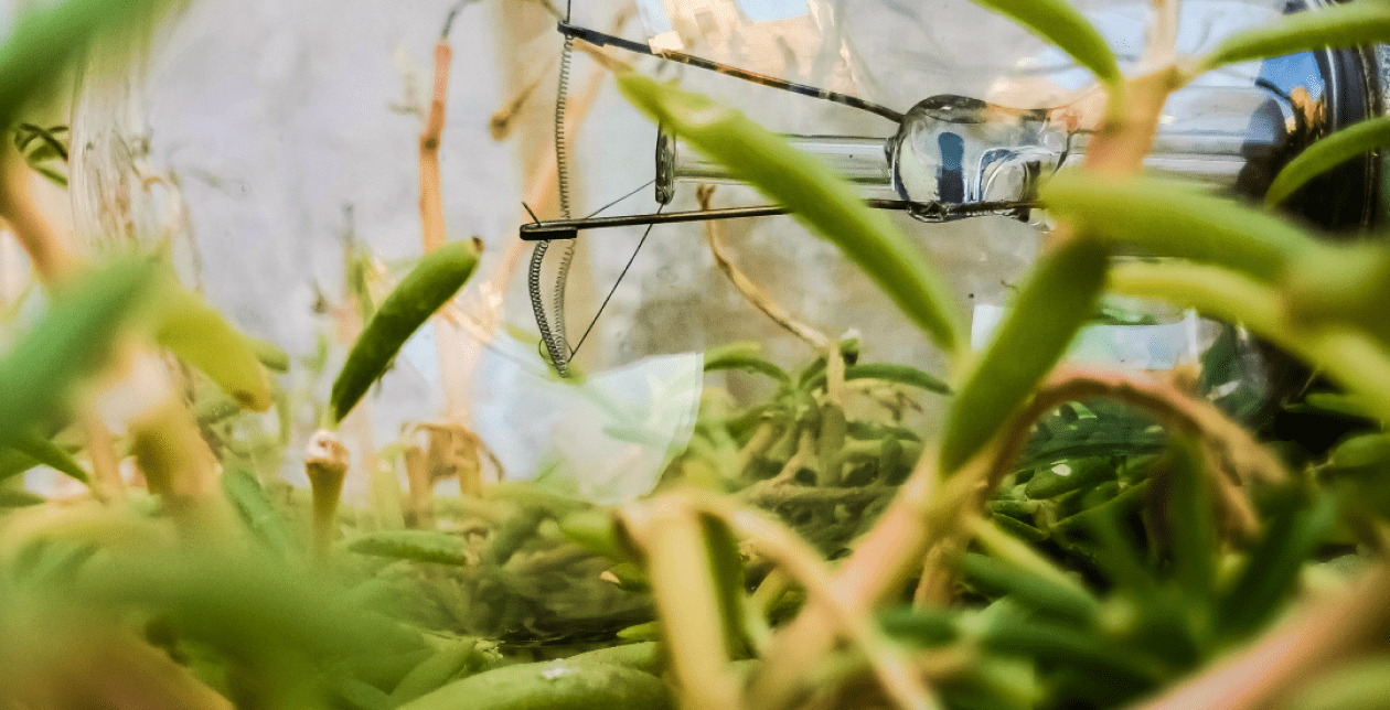 European Sustainable Energy Week