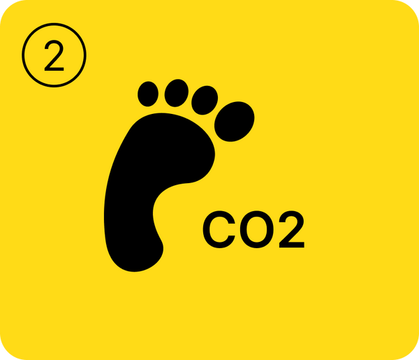CO2 Challenge - Chapter 2: No Car Trips - Paving the Way for Sustainable Mobility