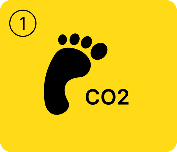 CO2 Challenge - Chapter 1: Eco-friendly Trips - Reducing Your Carbon Footprint in Air Travel